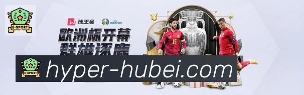 未来规划