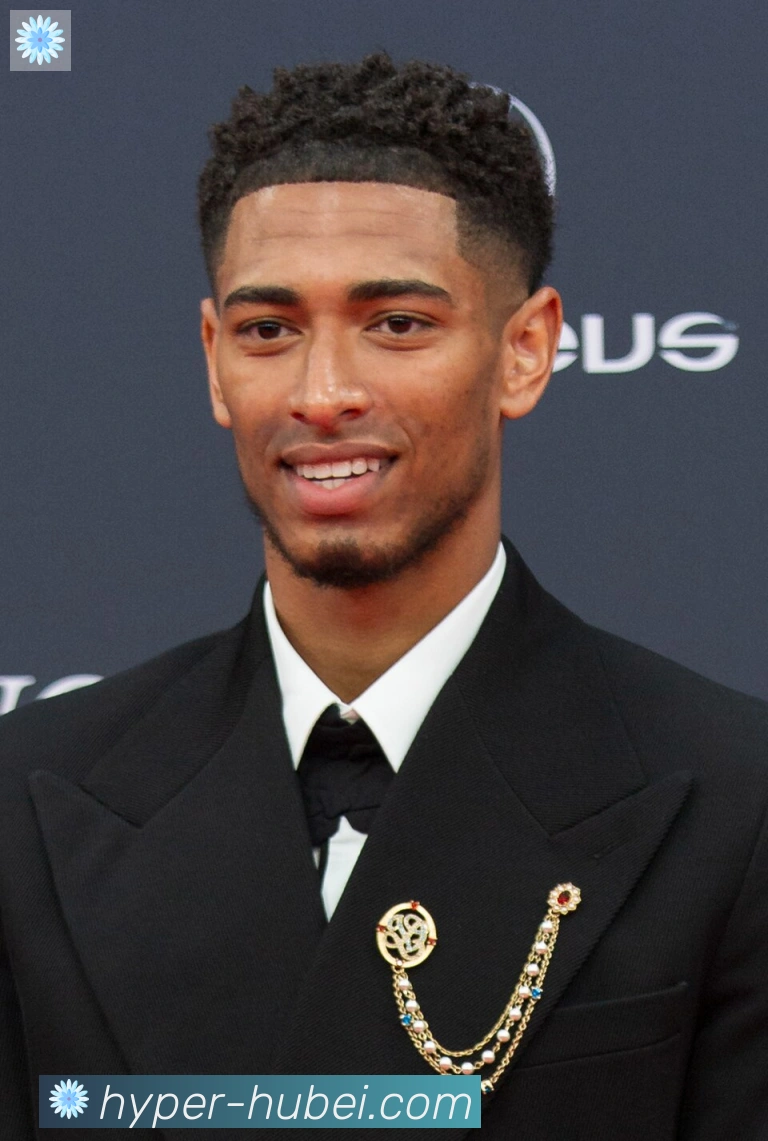 维尼修斯